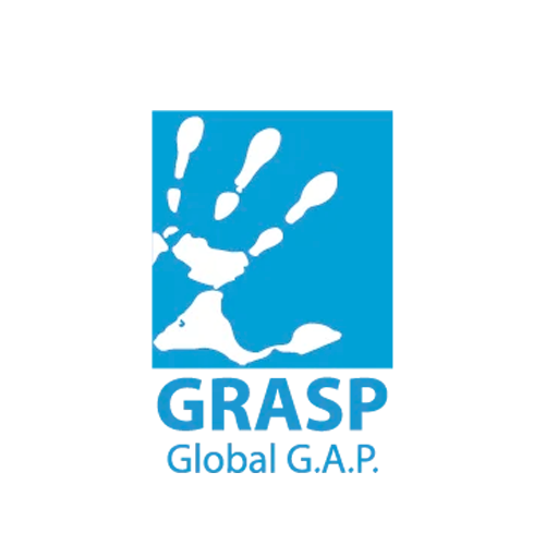 GRASP